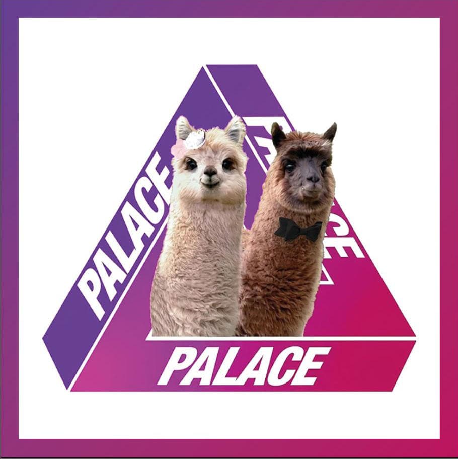PalaceAlpacas